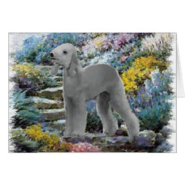 Bedlington Terrier Summer Garden Art