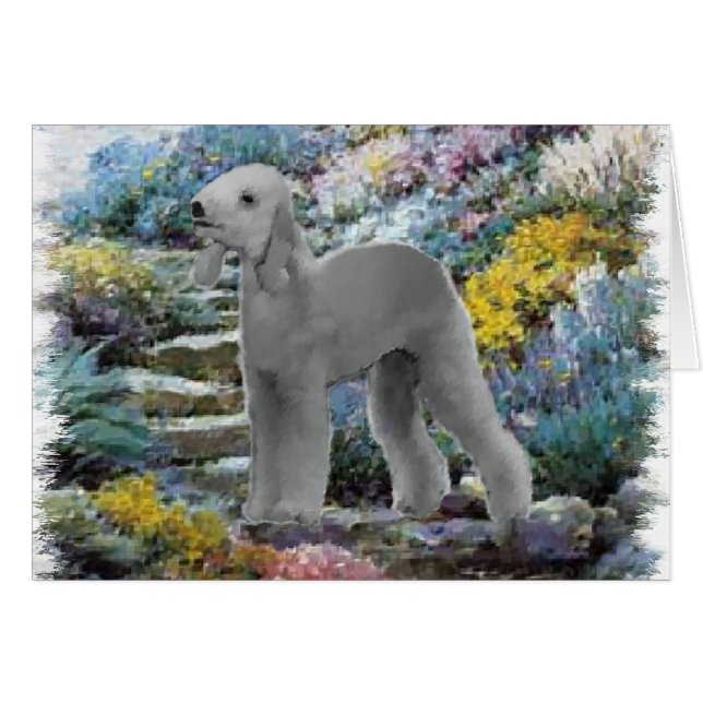 Bedlington Terrier Summer Garden Art (Voorkant Horizontaal)