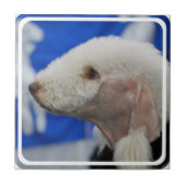 Bedlington Terrier Tile Tegeltje (Voorkant)