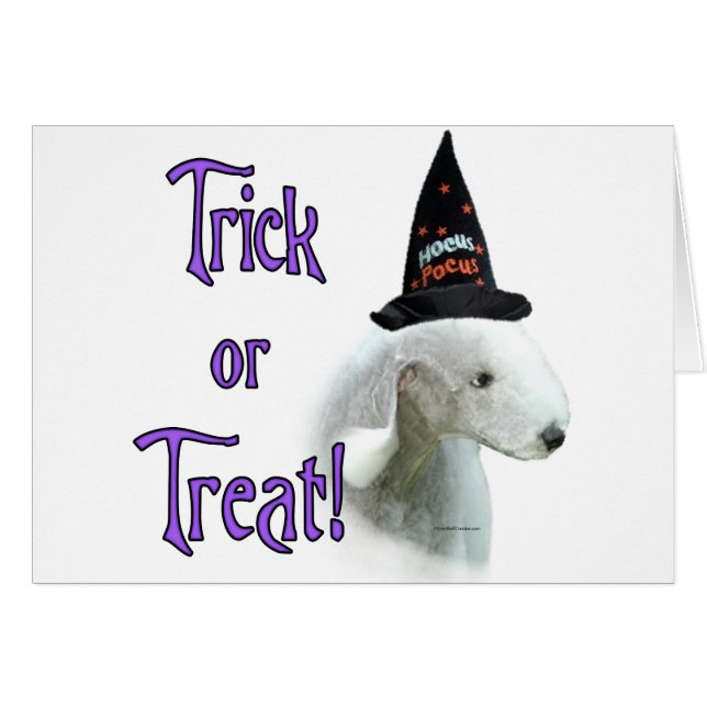 Bedlington Terrier Trick (Voorkant Horizontaal)
