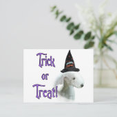 Bedlington Terrier Trick Briefkaart (Staand voorkant)