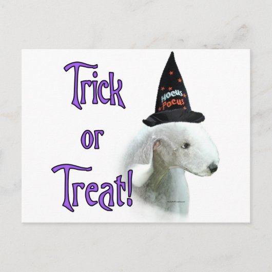 Bedlington Terrier Trick Briefkaart (Voorkant)