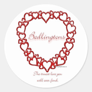 Bedlington Terrier Ware Liefde - Sticker