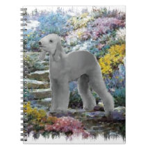 Bedlington Terrier Zomer Tuin Kunst