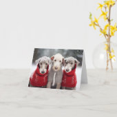 Bedlington Terriers in Kersttruien Kaart (Gele Bloem)