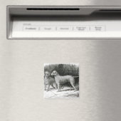 Bedlington Terriers - Mr F. Armstrong's Magneet (Insitu (Vaatwasser))