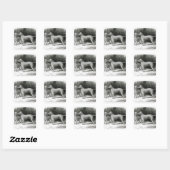 Bedlington Terriers - Mr F. Armstrong's Vierkante Sticker (Vel)