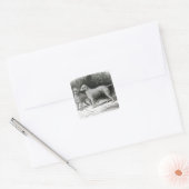 Bedlington Terriers - Mr F. Armstrong's Vierkante Sticker (Envelop)