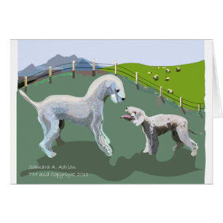 Bedlington Terriers - ontmoet je Hero