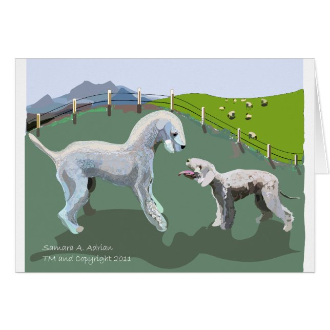 Bedlington Terriers - ontmoet je Hero (Voorkant Horizontaal)