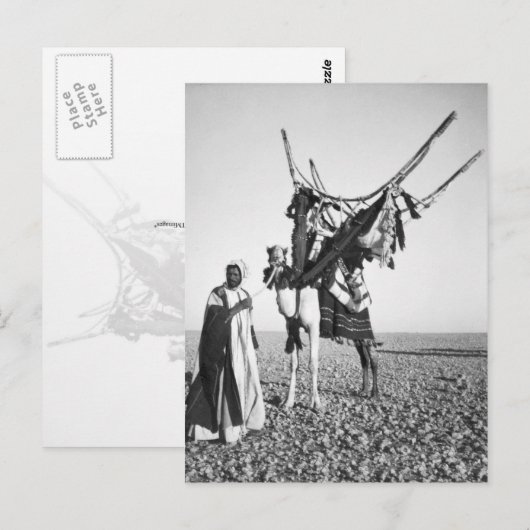 Bedouin man en kameel, Syrië Briefkaart (Voorkant / Achterkant)