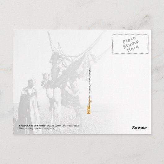 Bedouin man en kameel, Syrië Briefkaart (Achterkant)