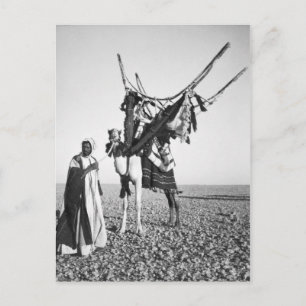 Bedouin man en kameel, Syrië Briefkaart