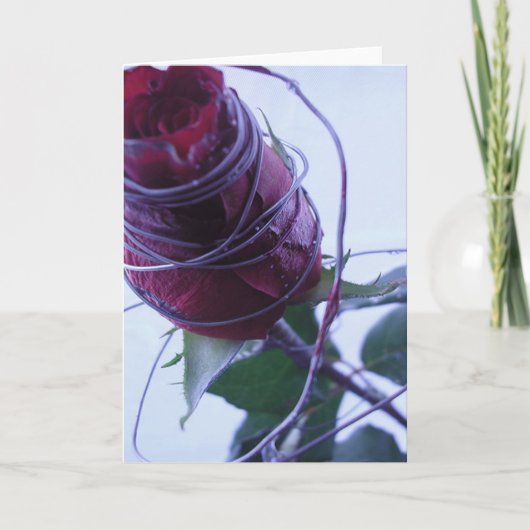 Bedraad Feestdagen Kaart (Voorkant)