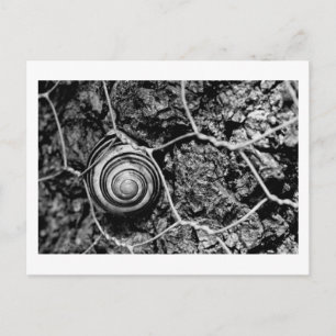 bedraad tempo briefkaart