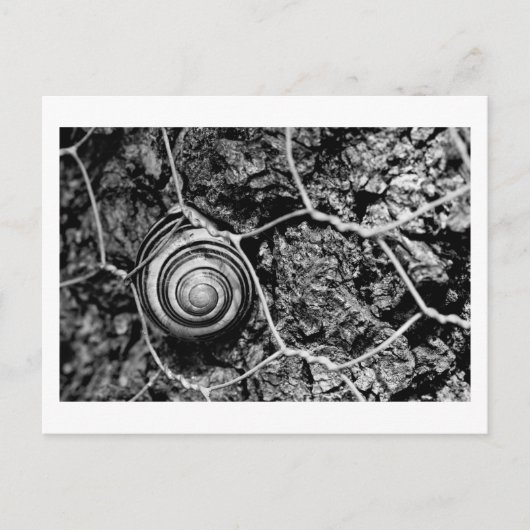 bedraad tempo briefkaart (Voorkant)