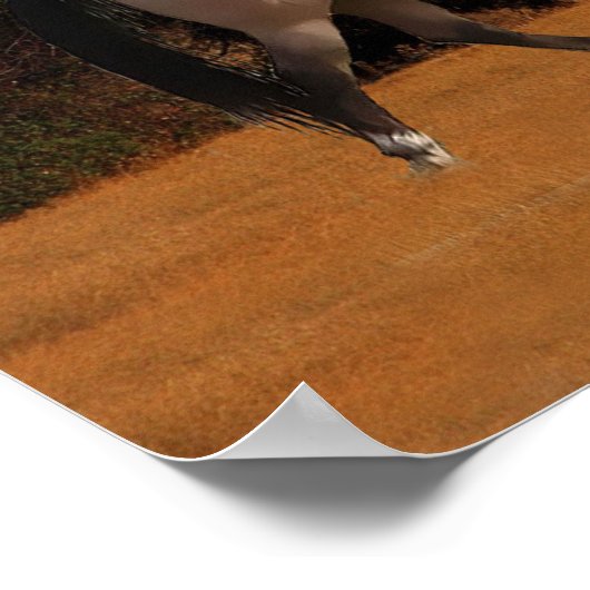 BEDRAG SHASTA MET HOREN EN RIDER POSTER (Hoek)