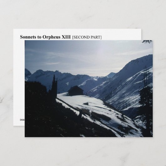 BEDRAG VAN ALLE VERTREK . . . BRIEFKAART (Voorkant / Achterkant)