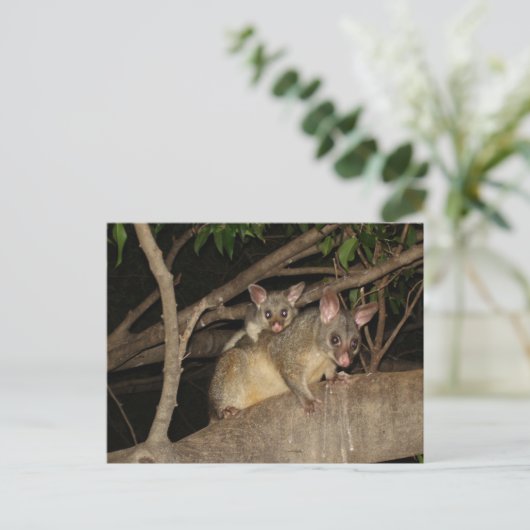 Bedragen van Brushtail Possum Briefkaart (Staand voorkant)