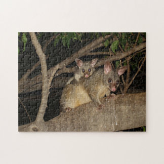 Bedragen van Brushtail Possum Legpuzzel