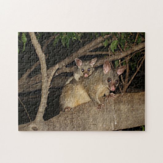 Bedragen van Brushtail Possum Legpuzzel (Horizontaal)