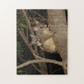 Bedragen van Brushtail Possum Legpuzzel (Verticaal)