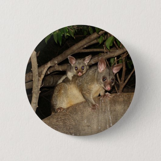 Bedragen van Brushtail Possum Ronde Button 5,7 Cm (Voorkant)