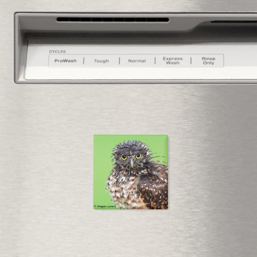 Bedraggled Uil Magnet (Insitu (Vaatwasser))