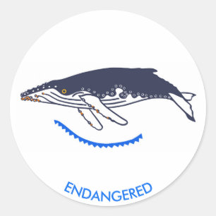 Bedreigd dier - Bultrug - Wildlife - Ronde Sticker