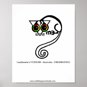 Bedreigd dier - Leadbeater's POSSUM - Australië Poster