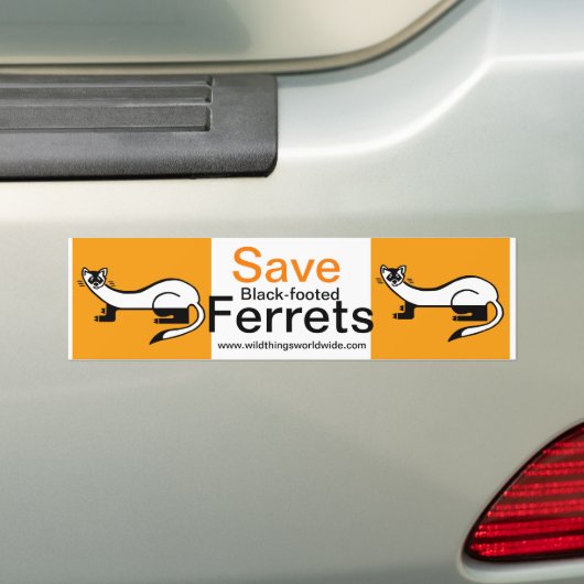 Bedreigd dier - Save Black-footed FERRETS- Bumpersticker (Op auto)
