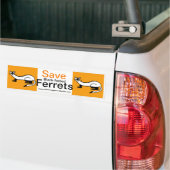 Bedreigd dier - Save Black-footed FERRETS- Bumpersticker (Op Truck)