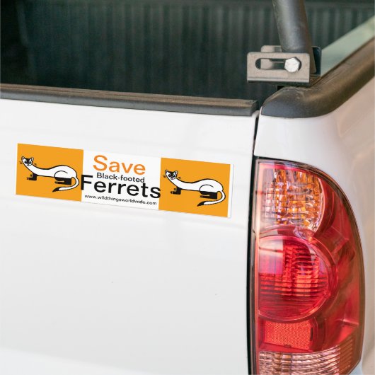 Bedreigd dier - Save Black-footed FERRETS- Bumpersticker (Op Truck)