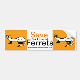 Bedreigd dier - Save Black-footed FERRETS- Bumpersticker