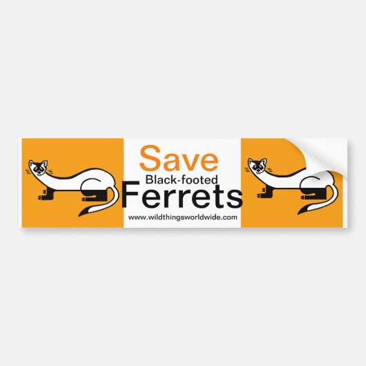 Bedreigd dier - Save Black-footed FERRETS- Bumpersticker (Voorkant)