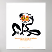 Bedreigd dier - Slow LORIS - poster (Voorkant)