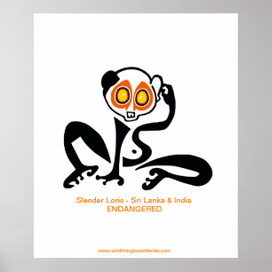 Bedreigd dier - Slow LORIS - poster