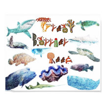 bedreigd Great Barrier Reef,