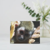 "Bedreigd?...Niet als ik het kan helpen!" Briefkaart (Staand voorkant)