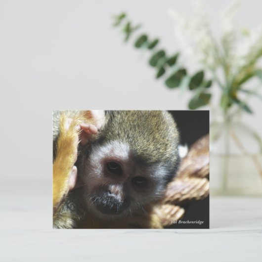 "Bedreigd?...Niet als ik het kan helpen!" Briefkaart (Staand voorkant)