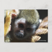 "Bedreigd?...Niet als ik het kan helpen!" Briefkaart (Voorkant)