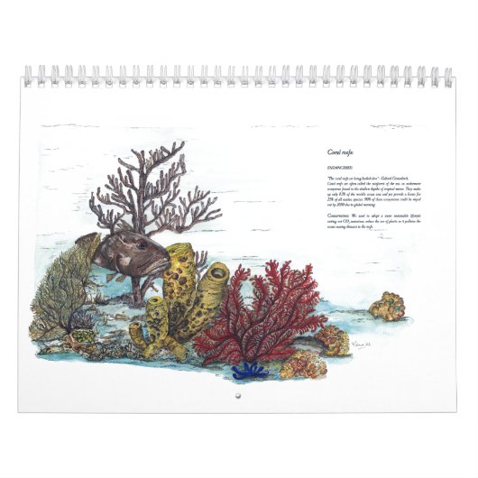 Bedreigd Wildlife Collectie Kalender (Hoes)