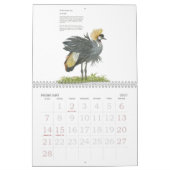Bedreigd Wildlife Collectie Kalender (Feb 2027)