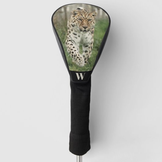 Bedreigde Amur Luipaard Foto Monogram Initiaal Golfheadcover (Voorkant)