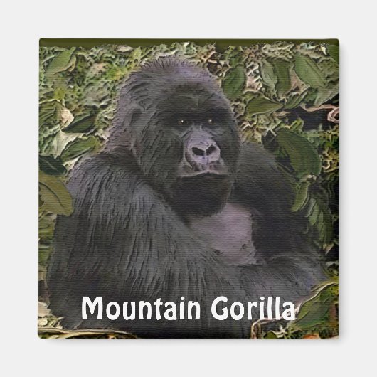 Bedreigde berggorilla Great Apes Art Magnet (Voorkant)