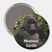 Bedreigde berggorilla Great Apes Art Magnet (Voorkant / Achterkant)
