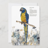 Bedreigde blauwkeelmacaw aquarellen feestdagenkaart (Voorkant)