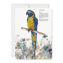 Bedreigde blauwkeelmacaw aquarellen