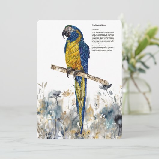 Bedreigde blauwkeelmacaw aquarellen feestdagenkaart (Staand voorkant)