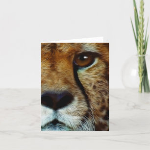 BEDREIGDE DIERSOORT CHEETAH WENSKAART KAART